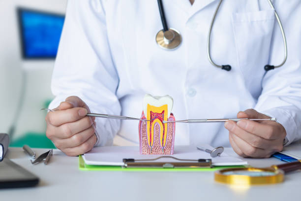 Best Emergency Dentist for Lost Fillings or Crowns in Weidman, MI